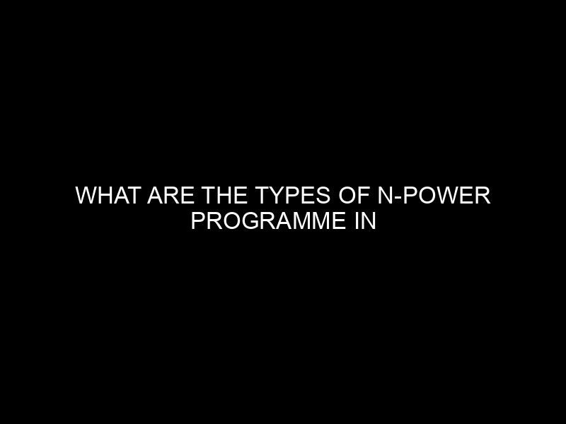 What Are The Types Of N Power Programme In Nigeria?