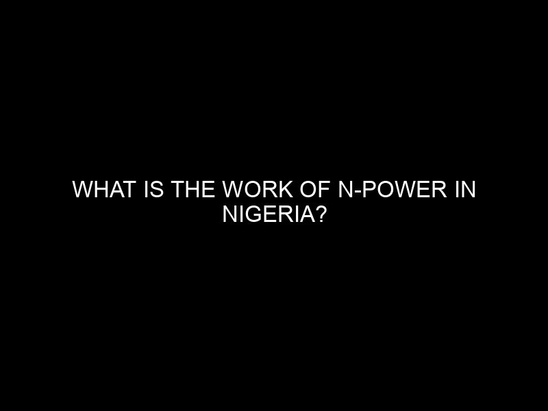 What Is The Work Of N Power In Nigeria?