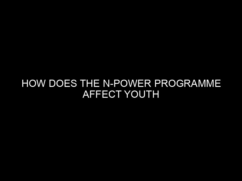 How Does The N Power Programme Affect Youth Empowerment In Nigeria?