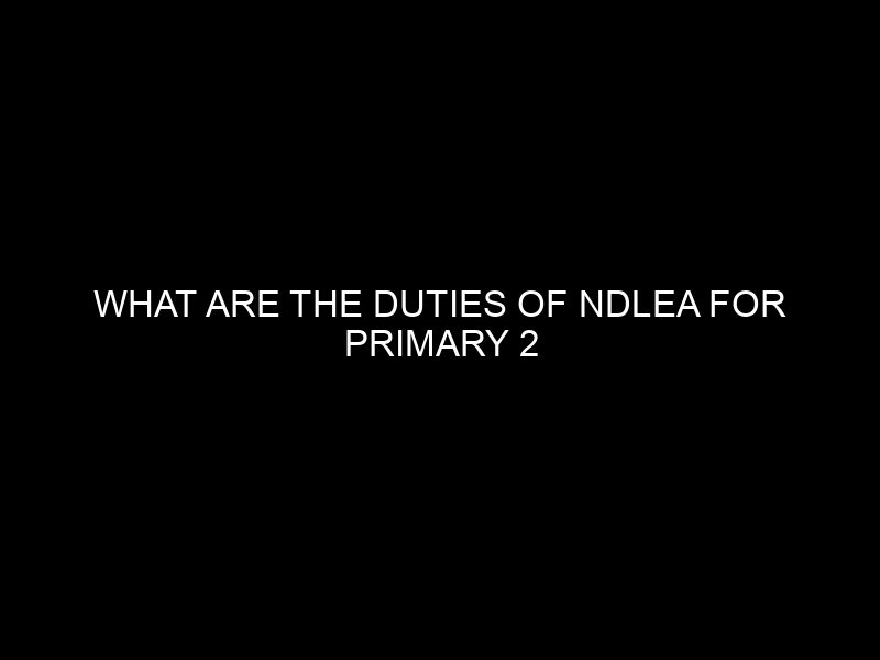 What Are The Duties Of Ndlea For Primary 2 Students?