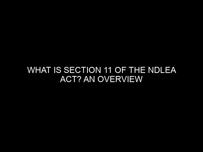 What Is Section 11 Of The Ndlea Act? An Overview