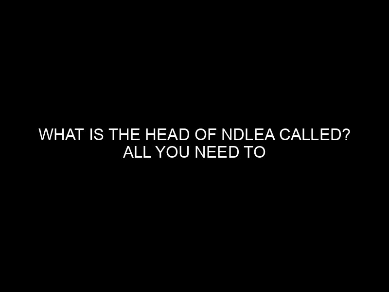 What Is The Head Of Ndlea Called? All You Need To Know