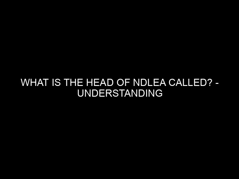 What Is The Head Of Ndlea Called? Understanding The Leadership Of Nigeria's Drug Law Enforcement Agency