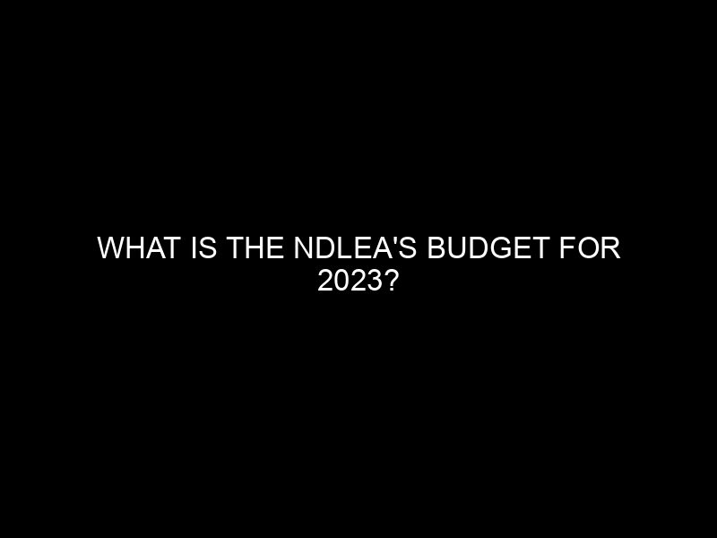 What Is The Ndlea's Budget For 2023?