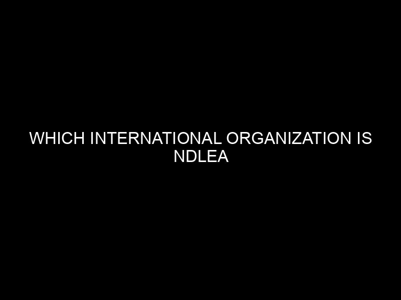 Which International Organization Is Ndlea Affiliated With? A Clear And Confident Answer