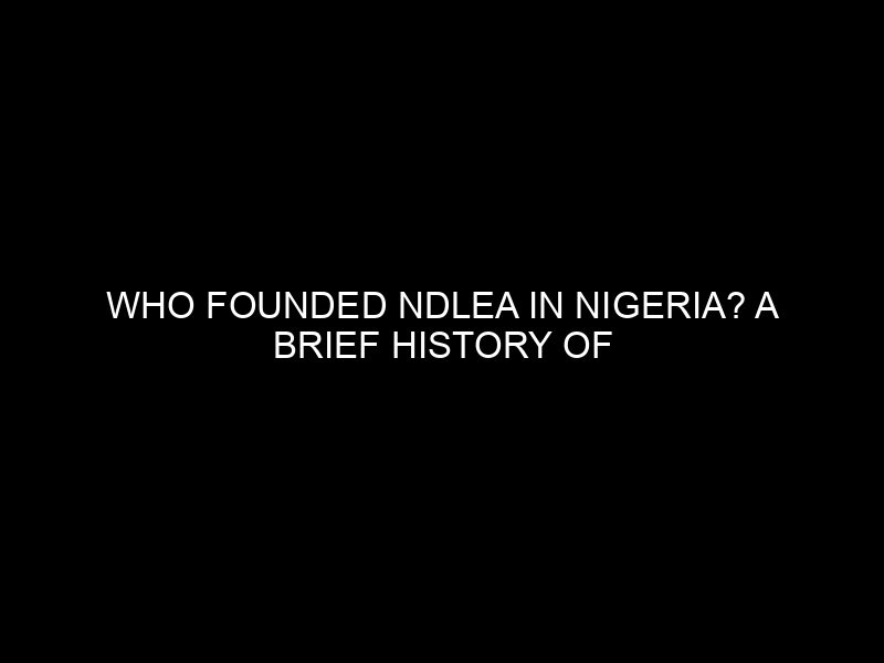 Who Founded Ndlea In Nigeria? A Brief History Of The Agency's Establishment