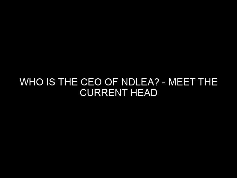 Who Is The Ceo Of Ndlea? Meet The Current Head Of Nigeria's Drug Law Enforcement Agency