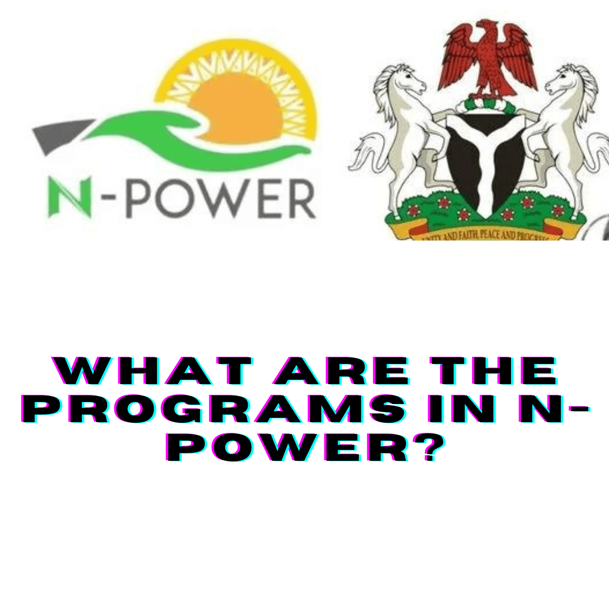 What Are The Programs In N Power