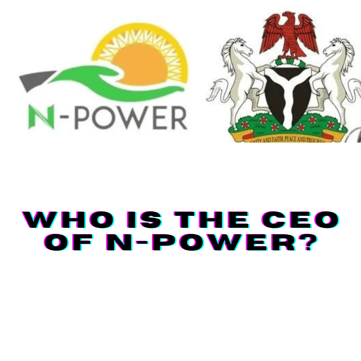 Who Is The Ceo Of N Power