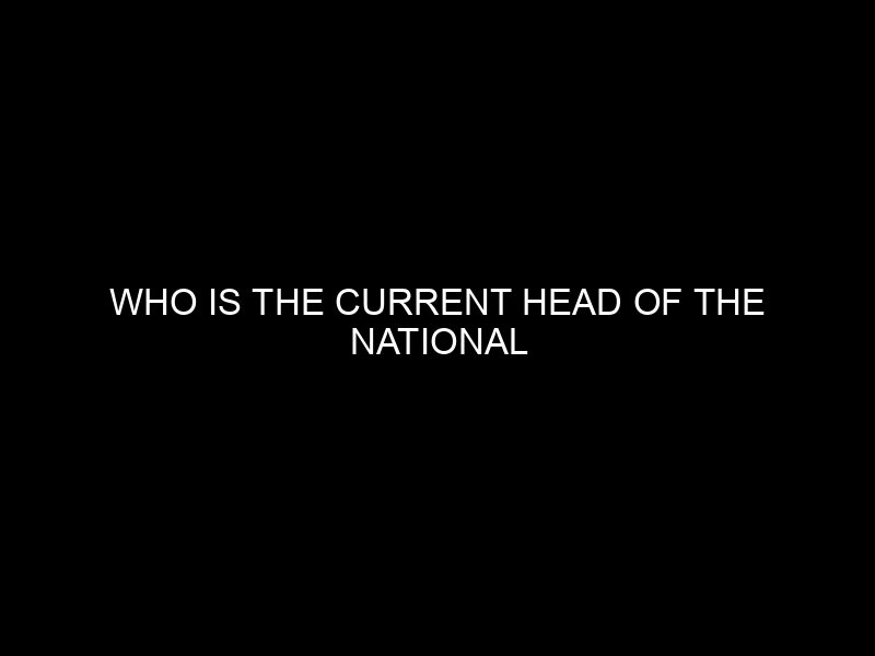 Who Is The Current Head Of The National Population Commission?