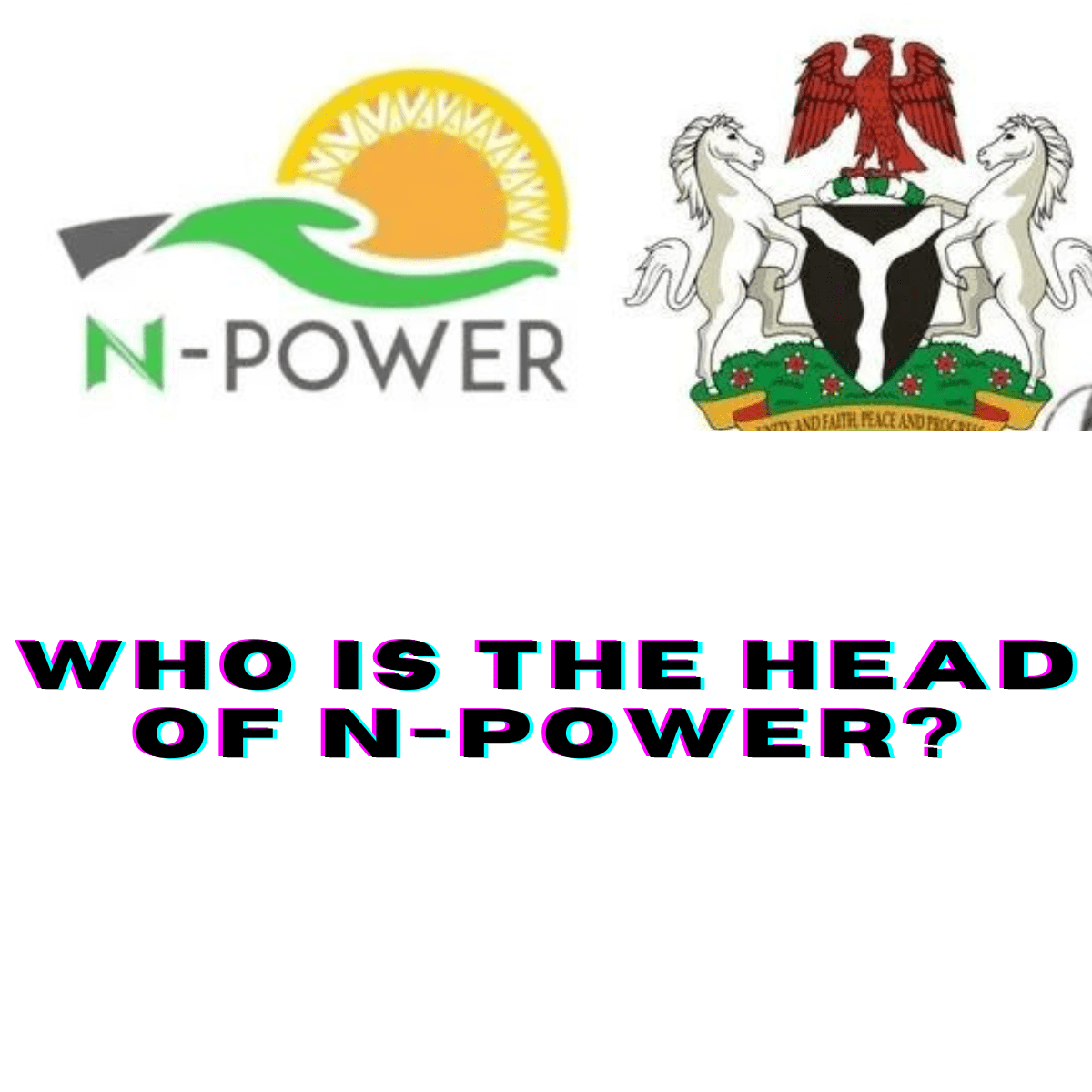 Who Is The Head Of N Power